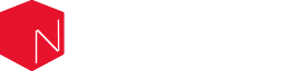Next Solution Logo